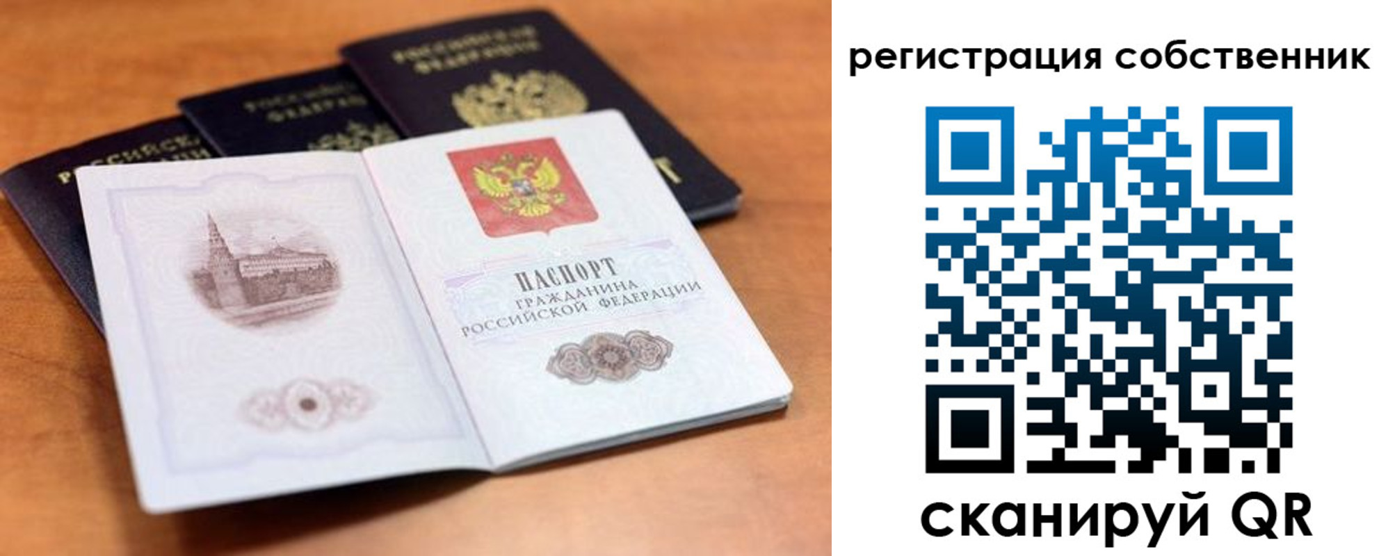 прописка поиск в Фокино